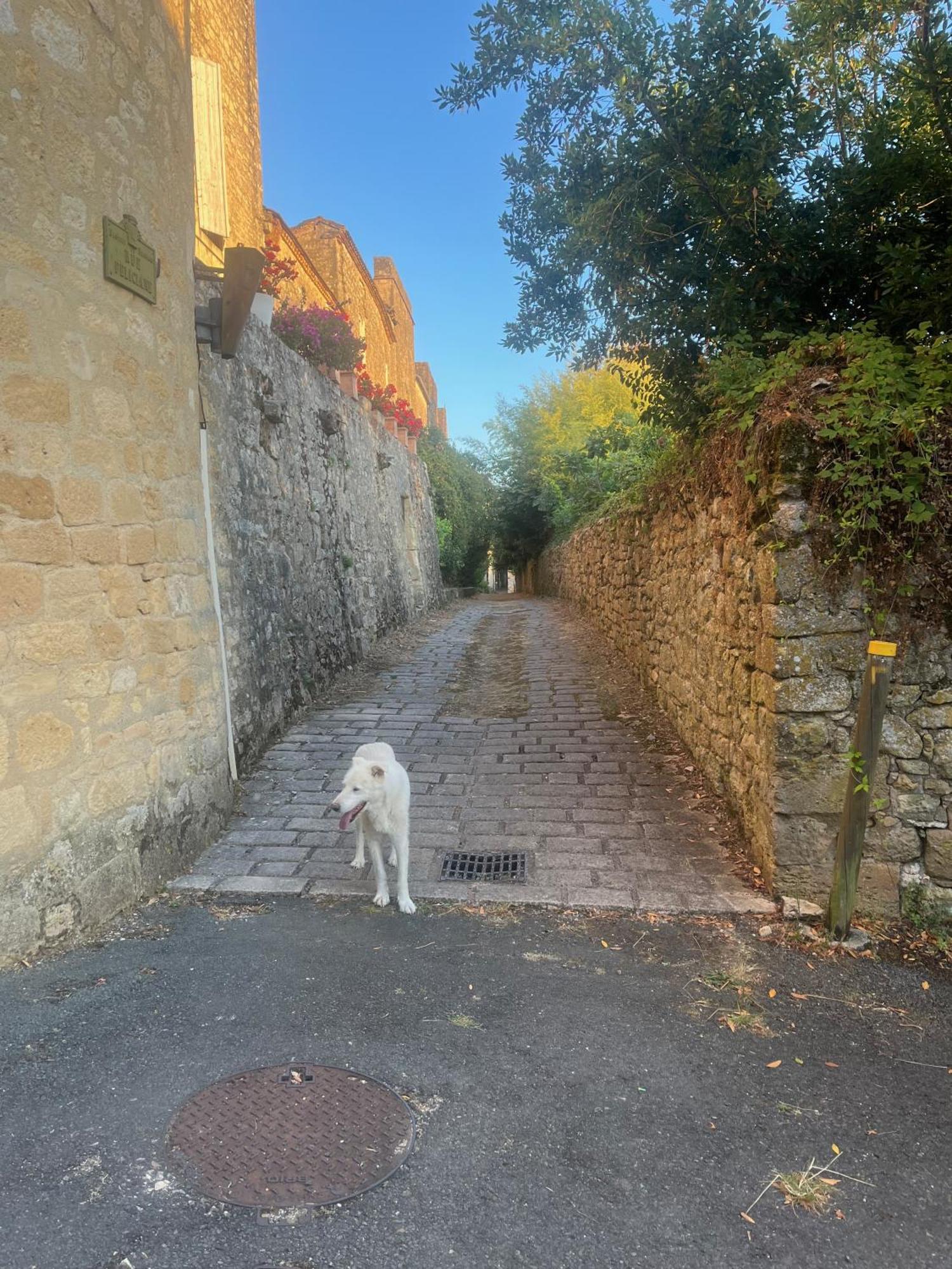 1 Rue Pasquet - 2 Double Rooms In The Main House Beaumont-du-Périgord Εξωτερικό φωτογραφία