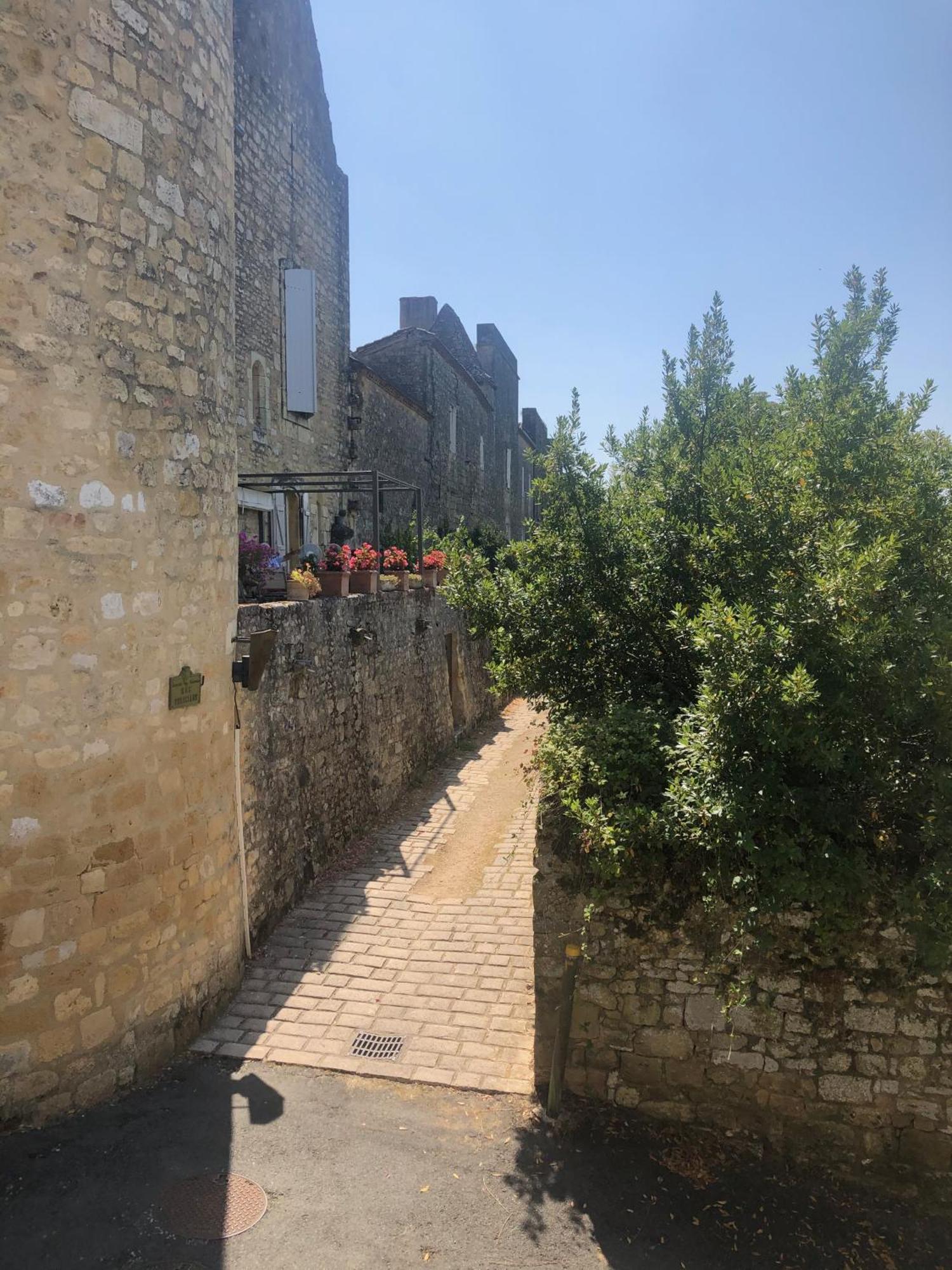 1 Rue Pasquet - 2 Double Rooms In The Main House Beaumont-du-Périgord Εξωτερικό φωτογραφία